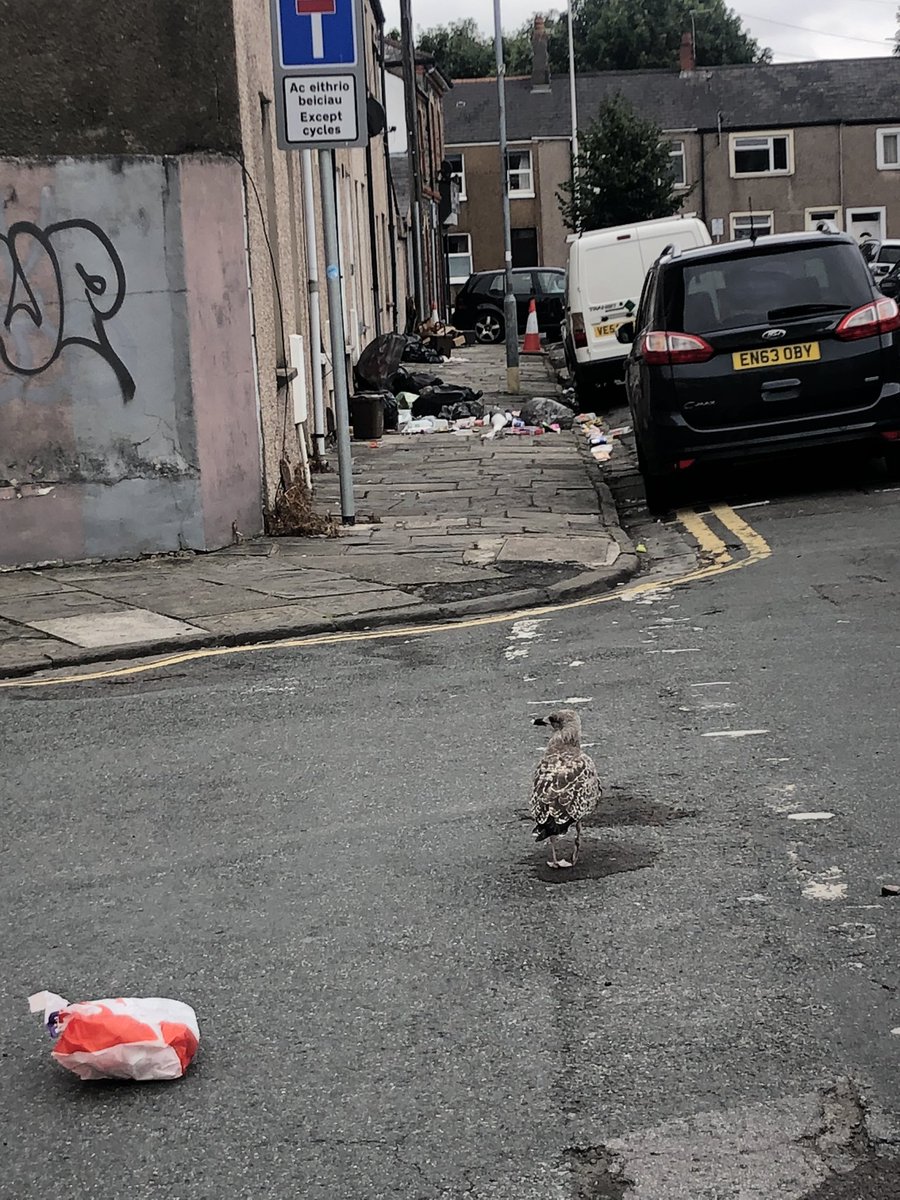 Keep Cathays Tidy tweet media