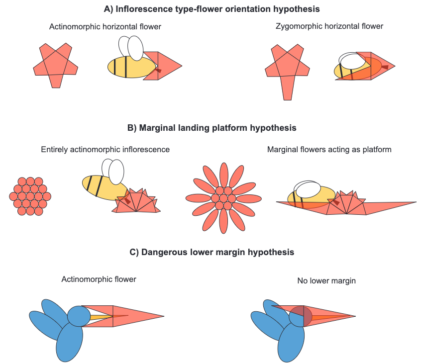 闵娅 (Min Ya | Minya), PhD tweet media