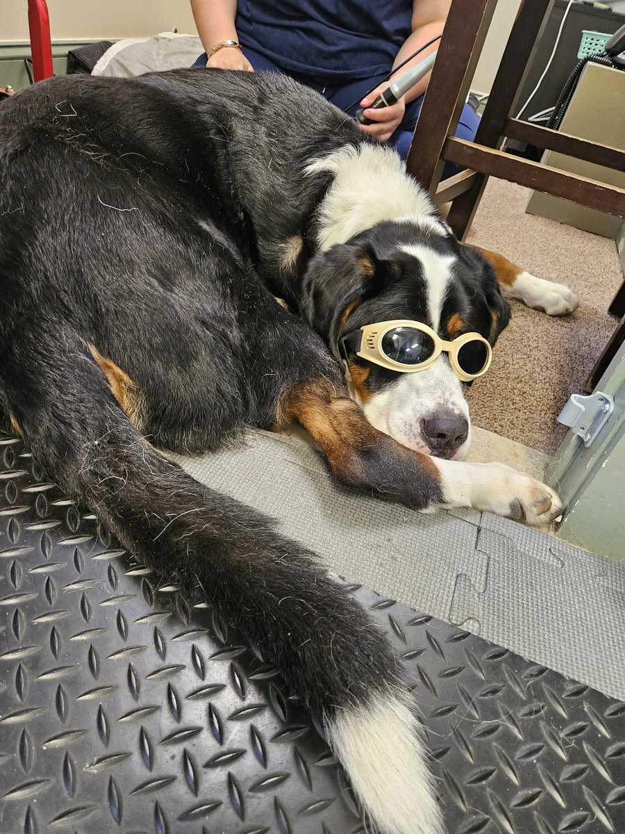 Mariana Wingood tweet media