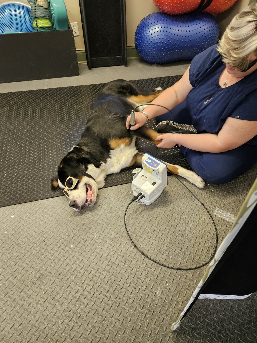 Mariana Wingood tweet media