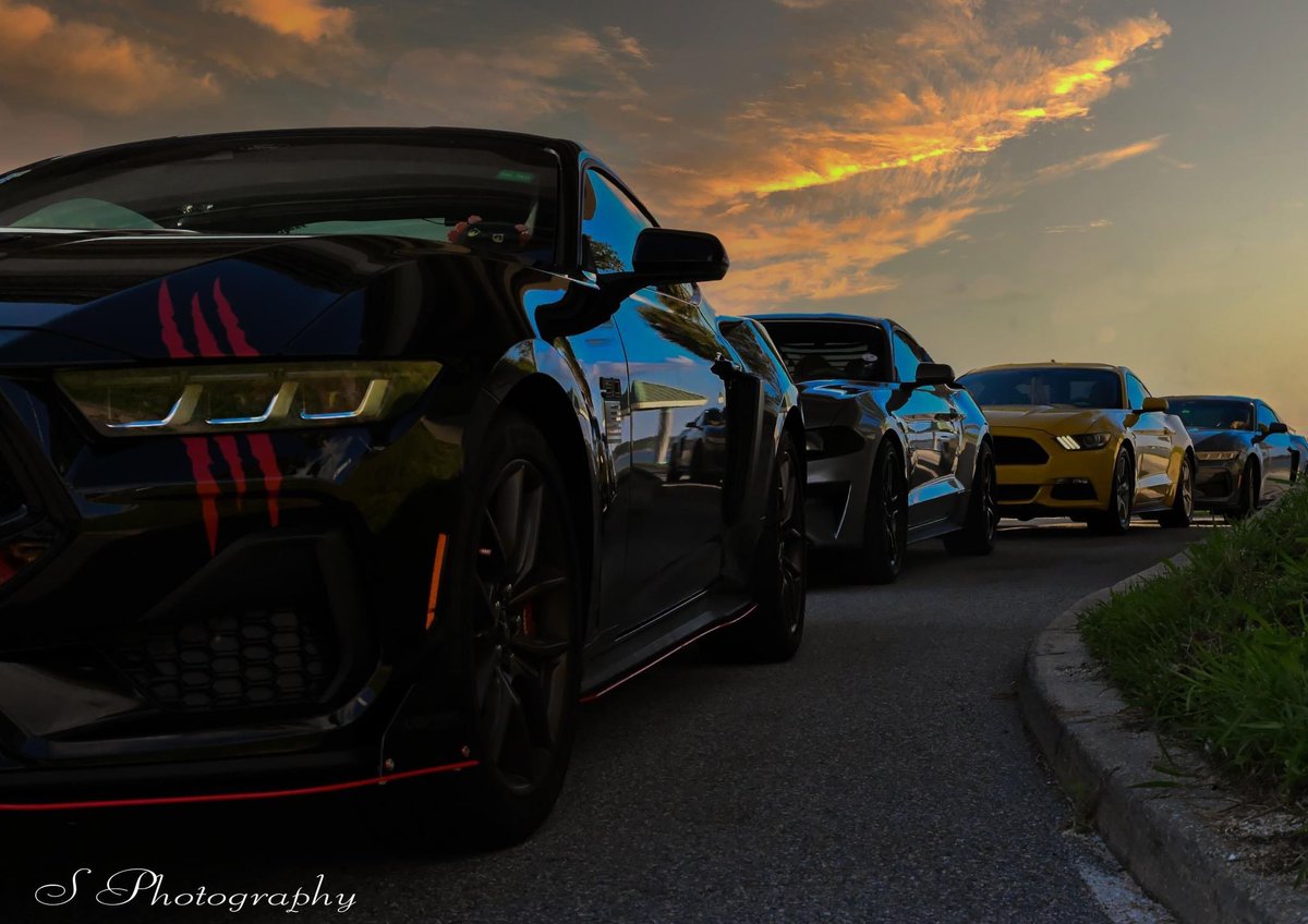 ithecommie's tweet image. We Met some other stangs🔥