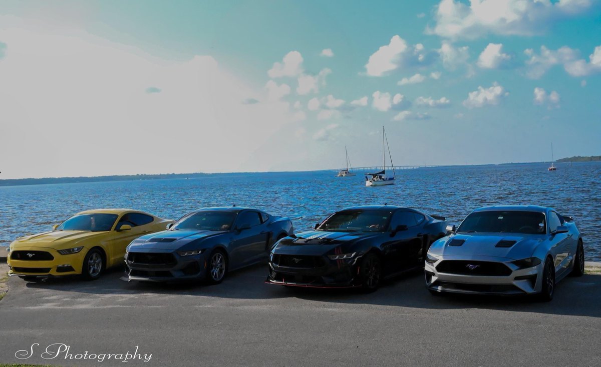 ithecommie's tweet image. We Met some other stangs🔥