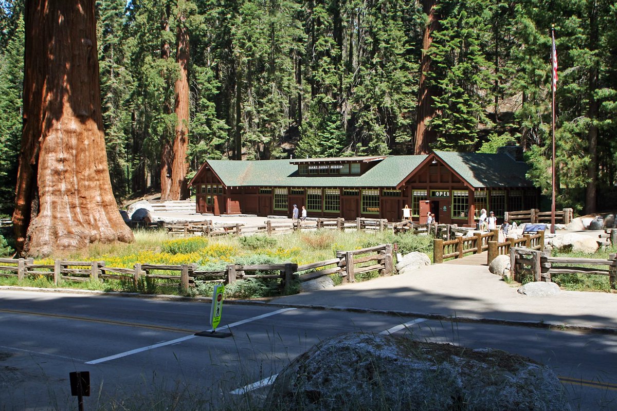 Sequoia Tourism Council (@sequoiatourism) on Twitter photo Explore the heart of Giant Forest at the Giant Forest Museum! Learn about giant sequoias, meadows, and park history through engaging exhibits. Self-guided trails lead to Round Meadow and Hazelwood areas.
📸: <a href="/visitvisalia/">Visit Visalia</a>
#getoutside #giantforest #giantforestmuseum Explore the heart of Giant Forest at the Giant Forest Museum! Learn about giant sequoias, meadows, and park history through engaging exhibits. Self-guided trails lead to Round Meadow and Hazelwood areas.
📸: <a href="/visitvisalia/">Visit Visalia</a>
#getoutside #giantforest #giantforestmuseum