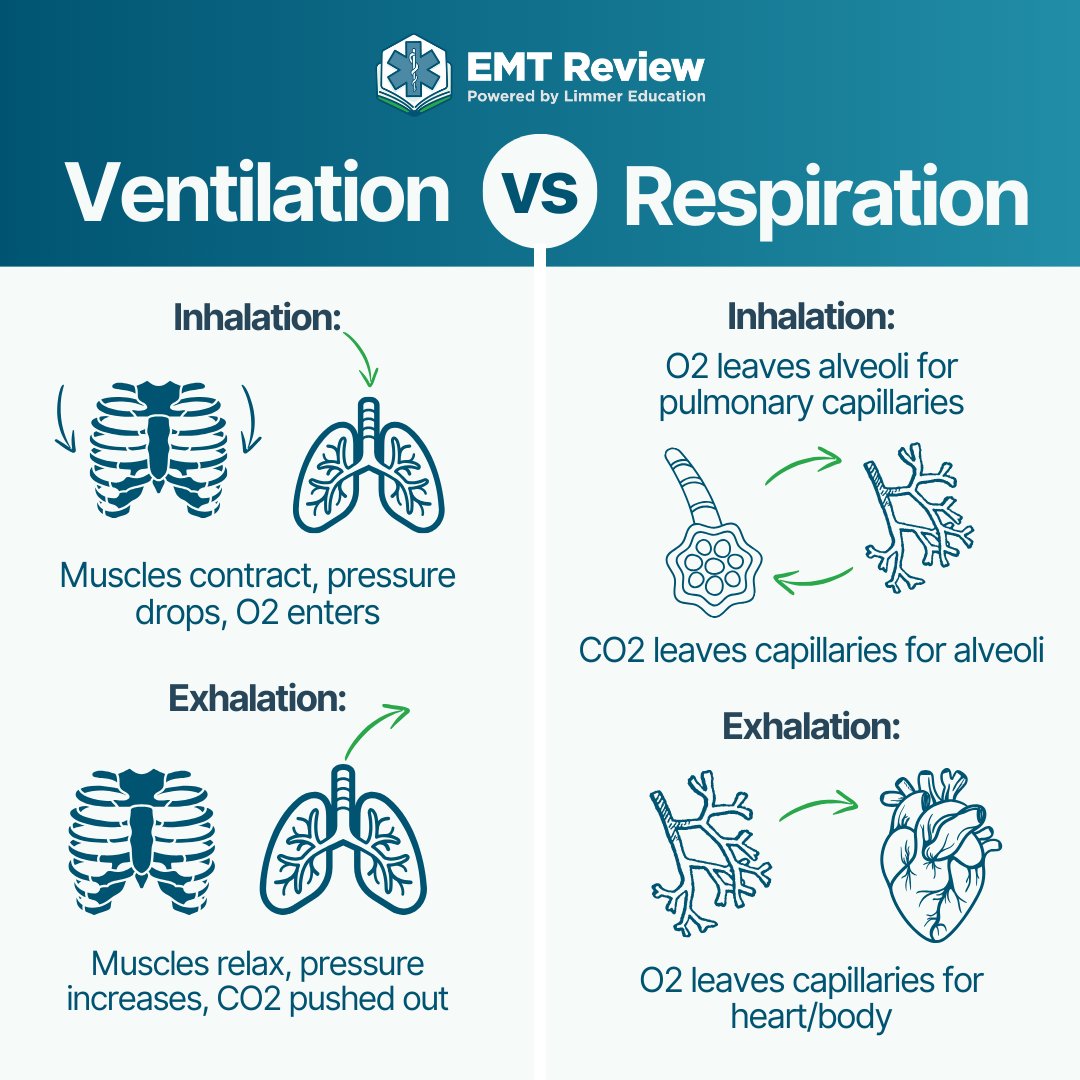 EMT Review tweet media
