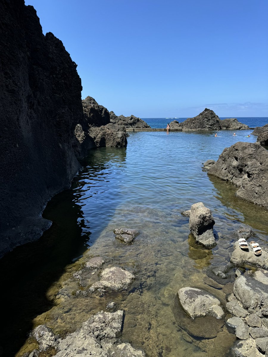 Tara Bitran tweet media