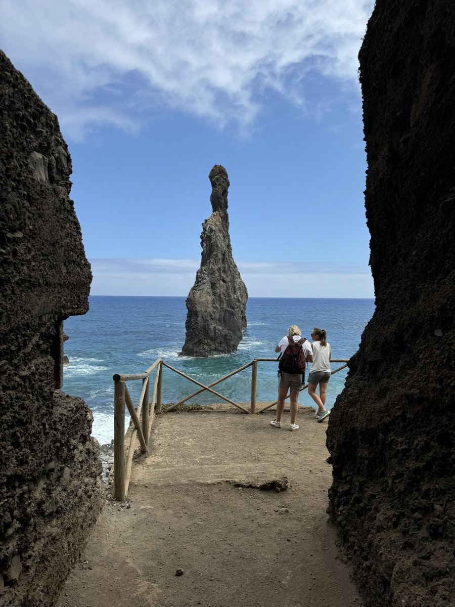 Tara Bitran tweet media