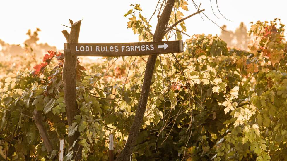 Lodi Wine Growers tweet media