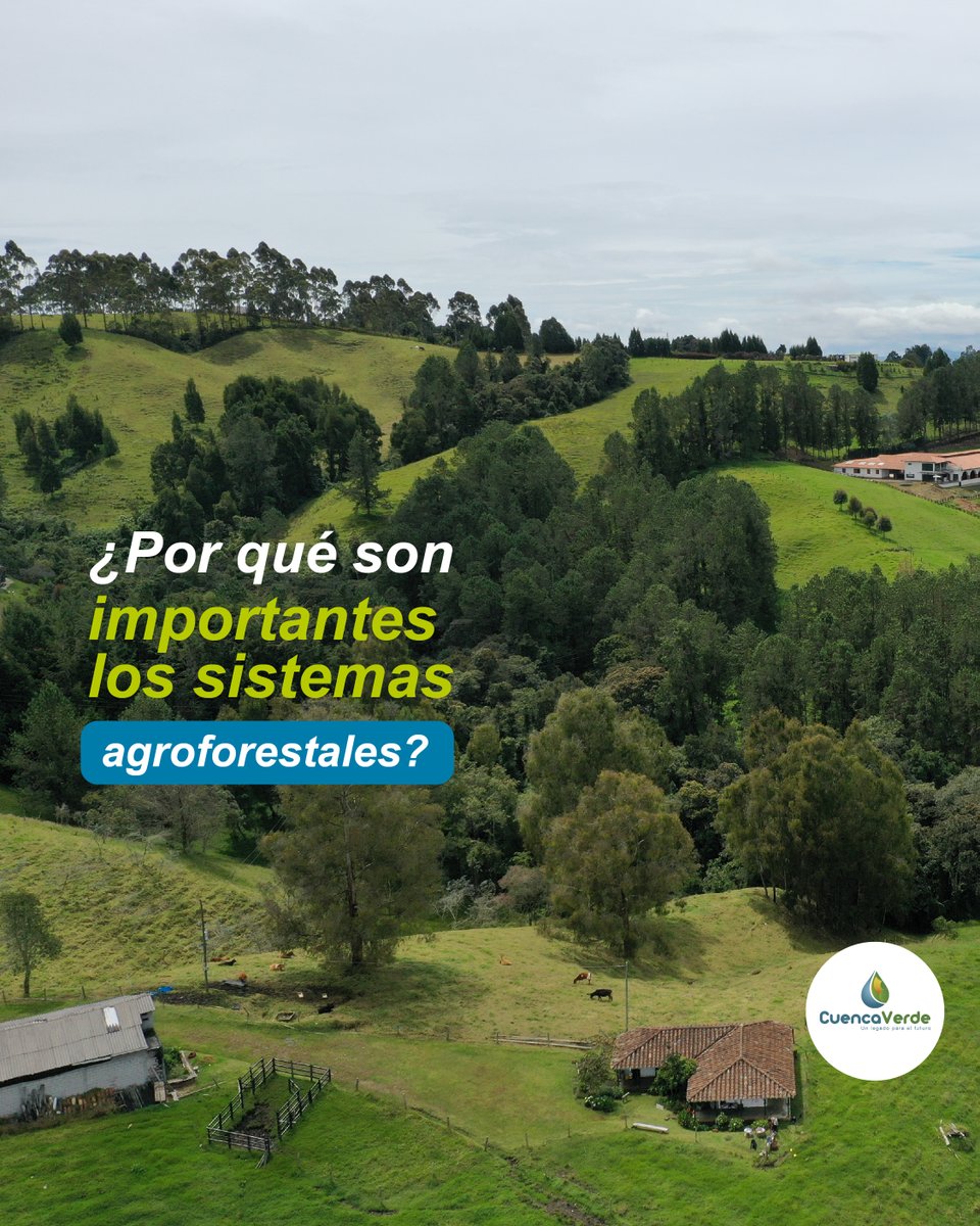 CuencaVerde tweet media