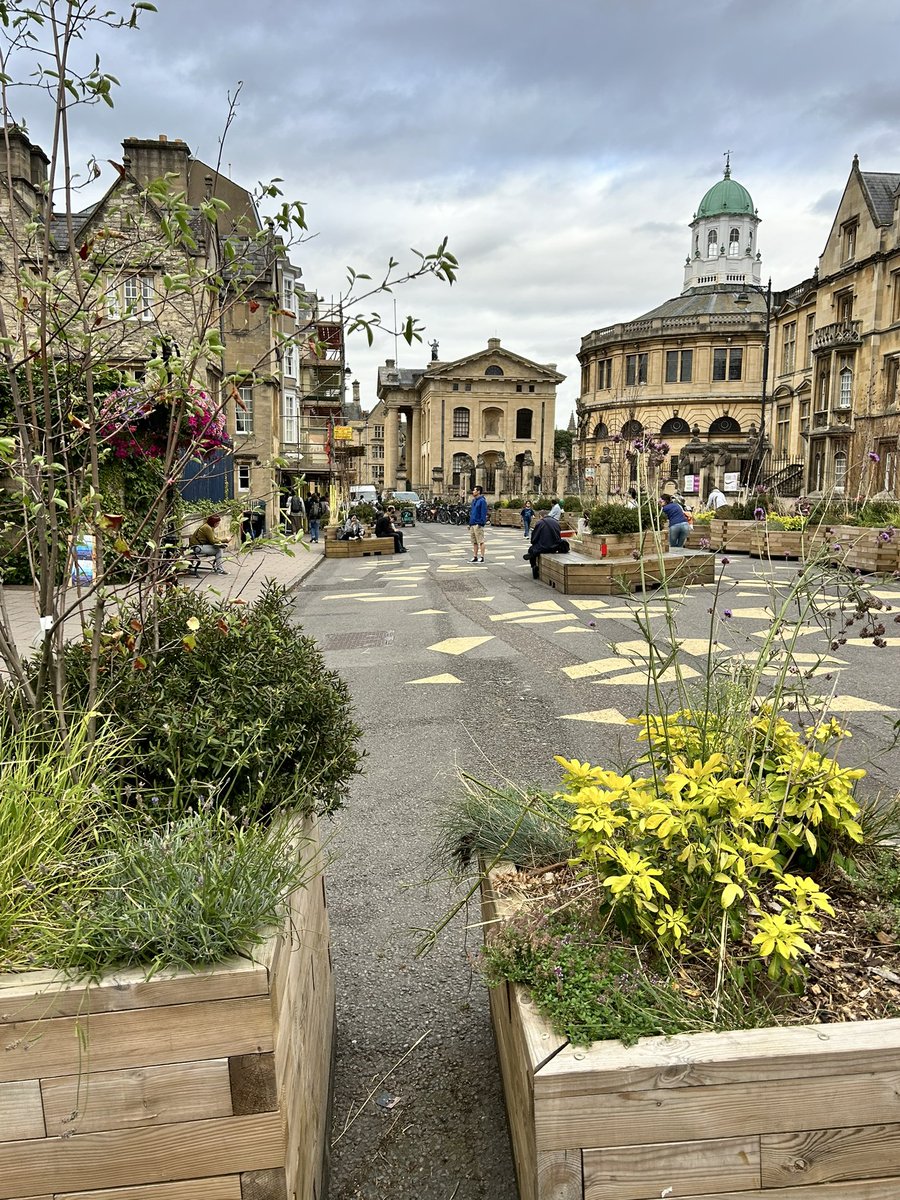 Billy Fields tweet media