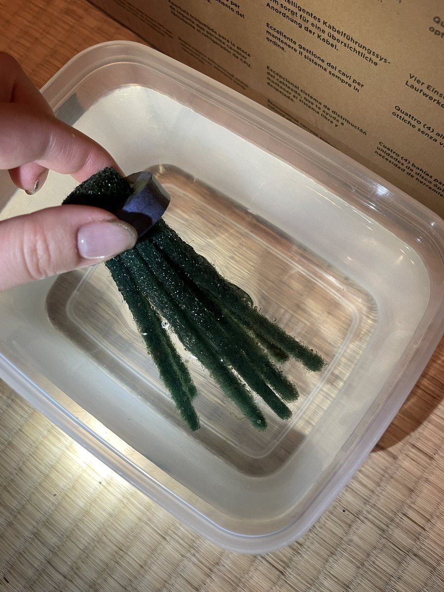 せつこ tweet media