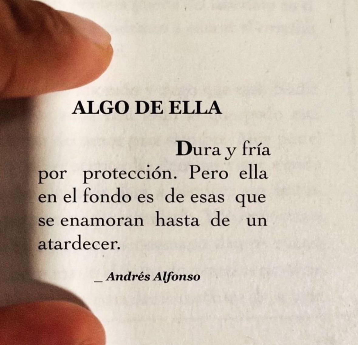 Cultura Literal (@culturaliteral1) on Twitter photo 
