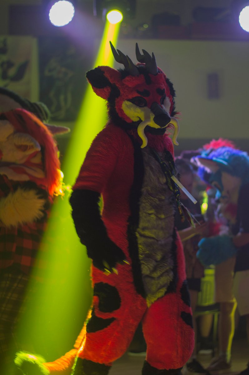 KayliFoxGirl's tweet photo. 2024 FurDance.
🐉 Sayuri
✂️ Swatty
📸 Arqton https://t.co/pzB8rwdsAs