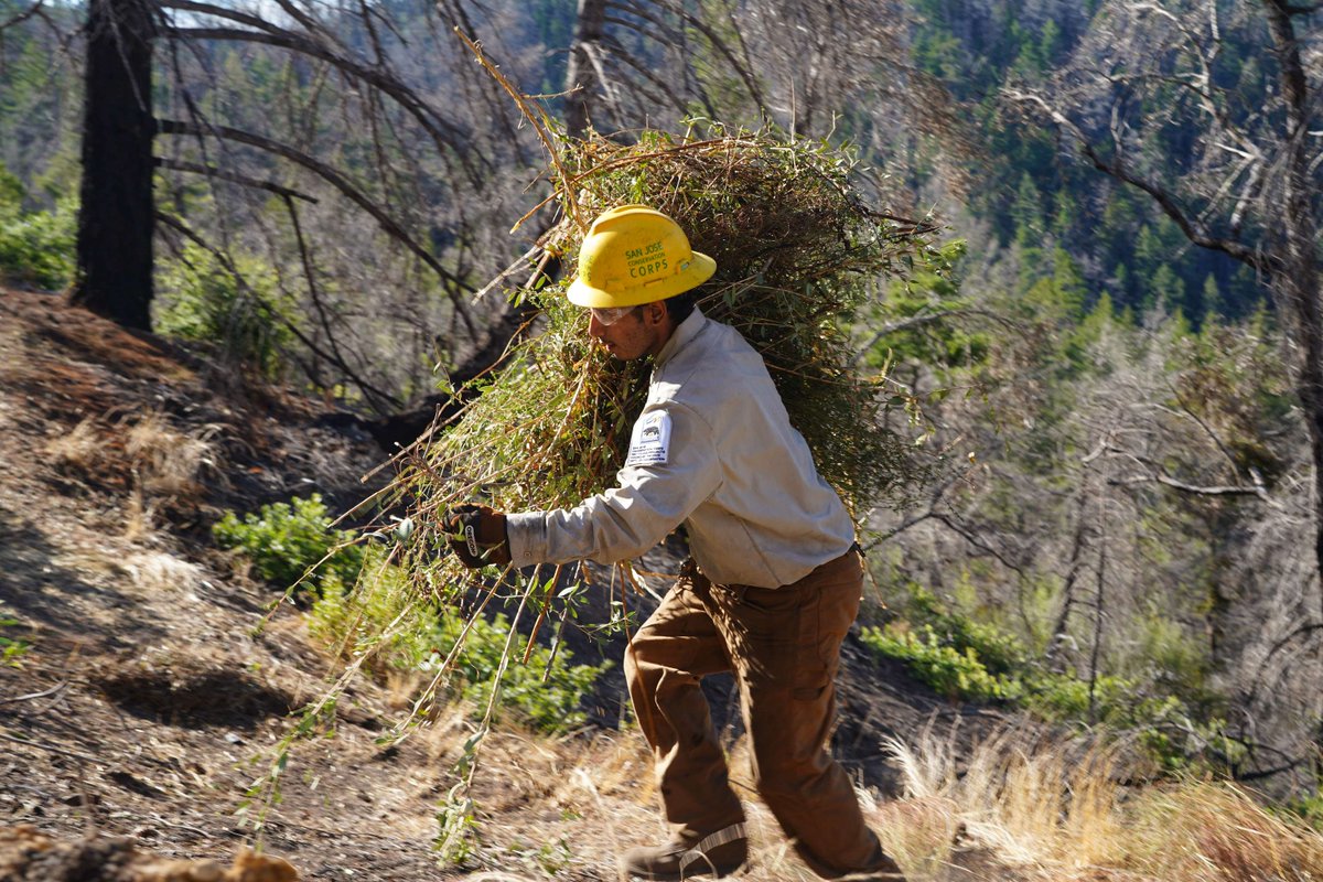 San Jose Conservation Corps + Charter School tweet media