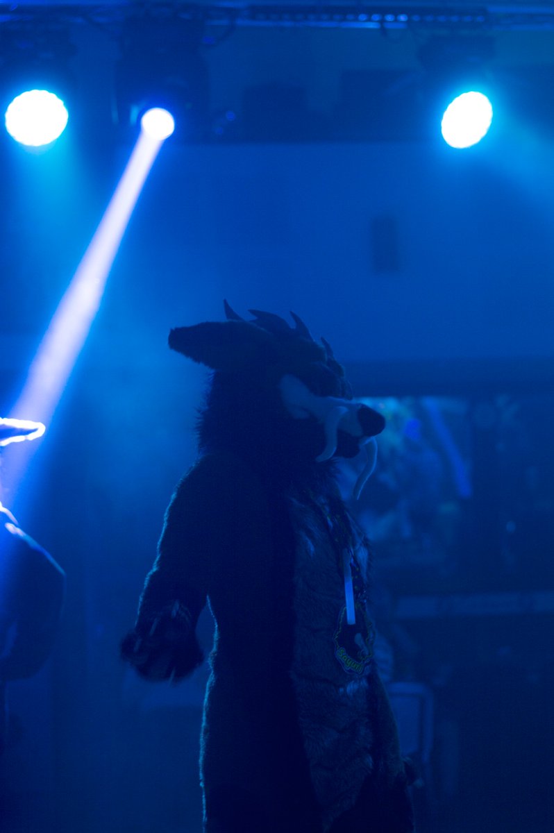 2024 FurDance.
🐉 Sayuri
✂️ Swatty
📸 Arqton