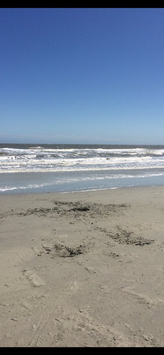 EdwardsEscapes's tweet image. Wishing you a great afternoon!! Beautiful Hilton Head Beach! #beach #travel #beautiful #travelagent #travelbusiness #SmallBusiness #Entrepreneur #hiltonhead 
Where is your favorite beach located???
