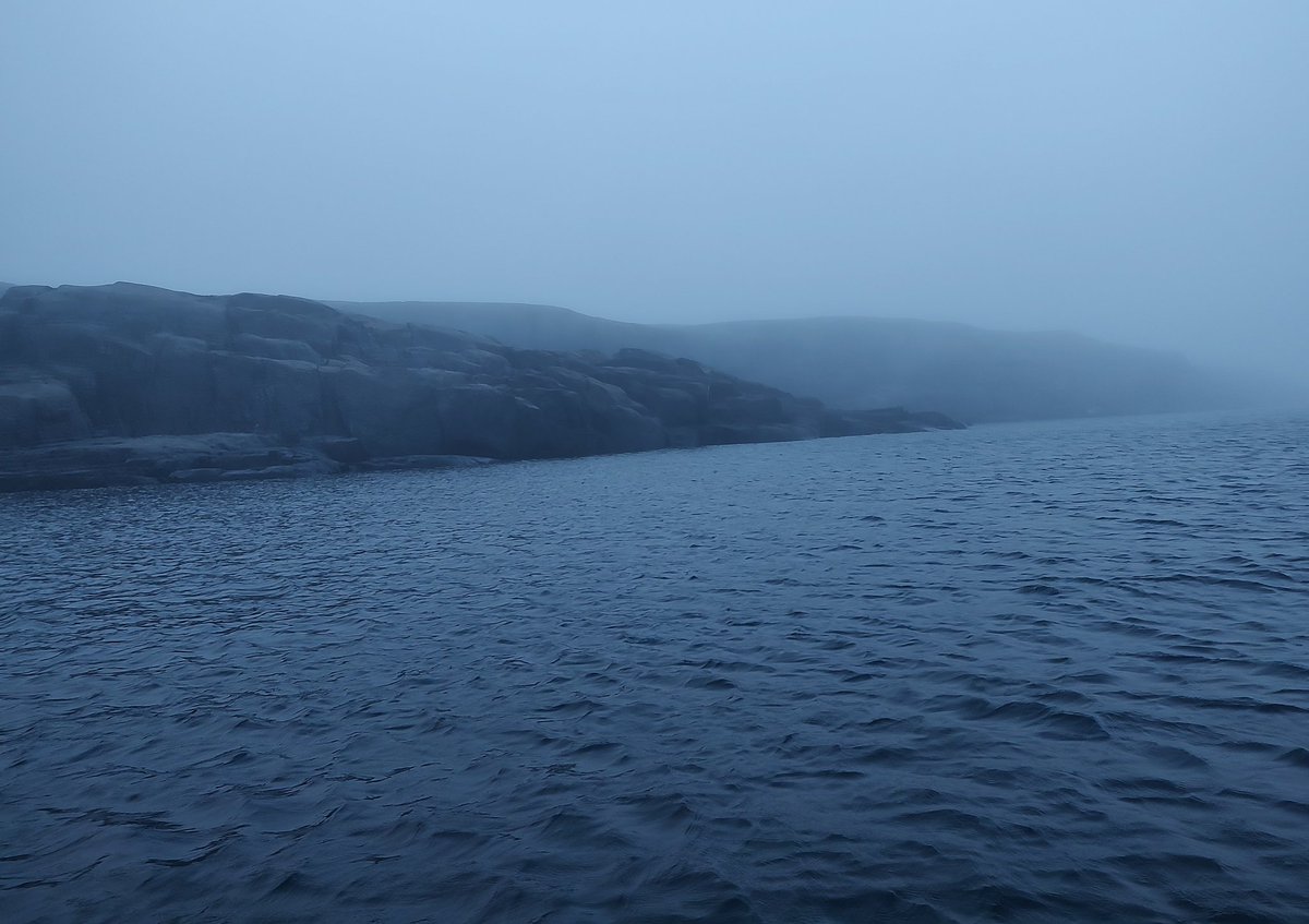 Karts Huseonica tweet media