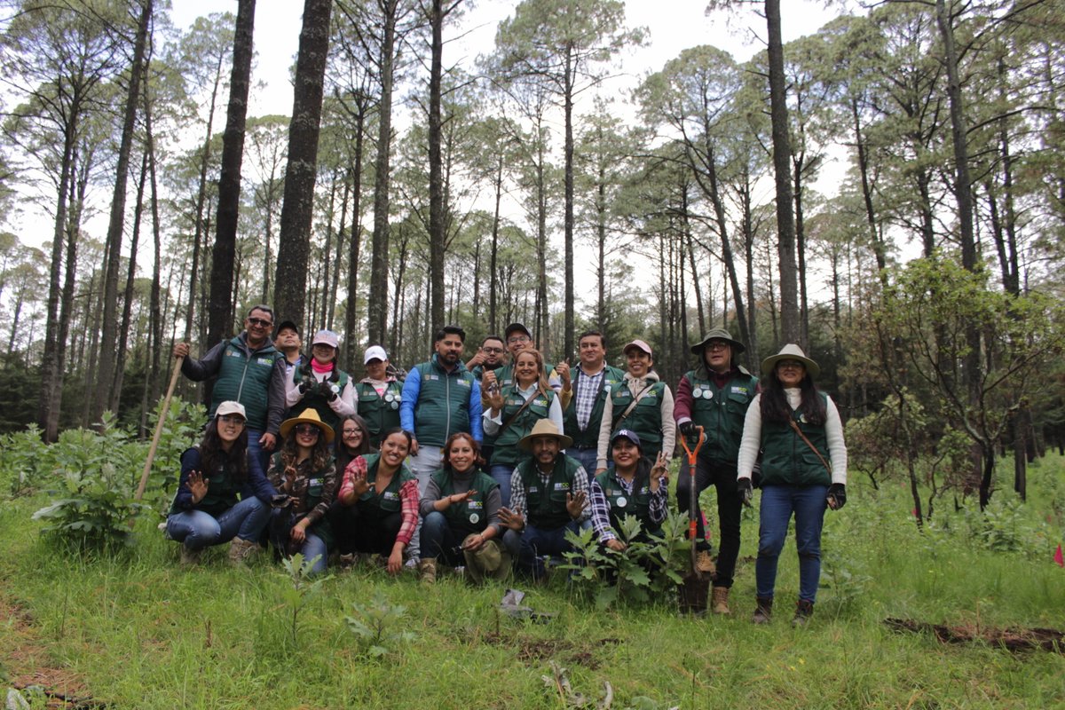 IEECCedomex's tweet photo. Personal del #IEECC en representación de la Secretaría de Medio Ambiente y Desarrollo Sostenible, participó en la "3ra Reforestación Masiva" llevada a cabo en el municipio de #AlmoloyaDeJuarez con la colaboración de @Probosque_ y @CampoEdomex. 🌱🌲🌳
#MedioAmbiente https://t.co/u6I6TXBNp4