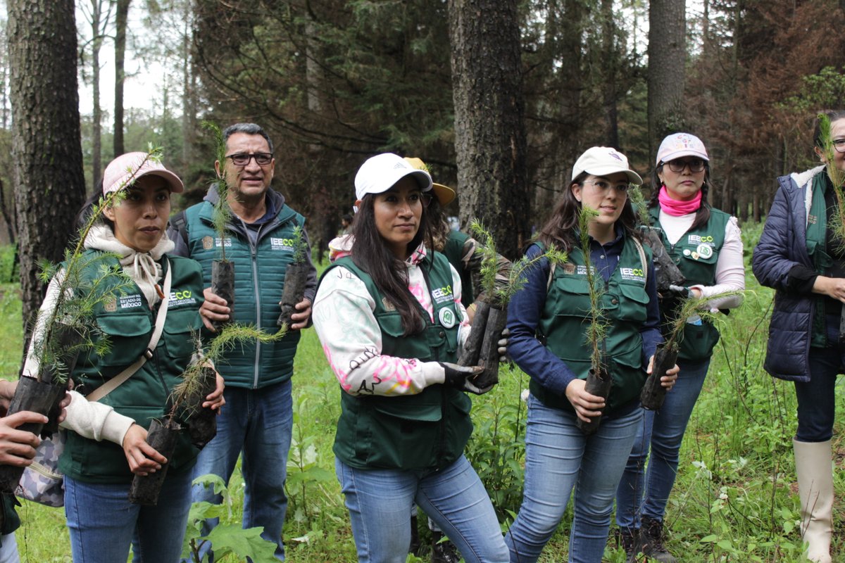 IEECCedomex's tweet photo. Personal del #IEECC en representación de la Secretaría de Medio Ambiente y Desarrollo Sostenible, participó en la "3ra Reforestación Masiva" llevada a cabo en el municipio de #AlmoloyaDeJuarez con la colaboración de @Probosque_ y @CampoEdomex. 🌱🌲🌳
#MedioAmbiente https://t.co/u6I6TXBNp4