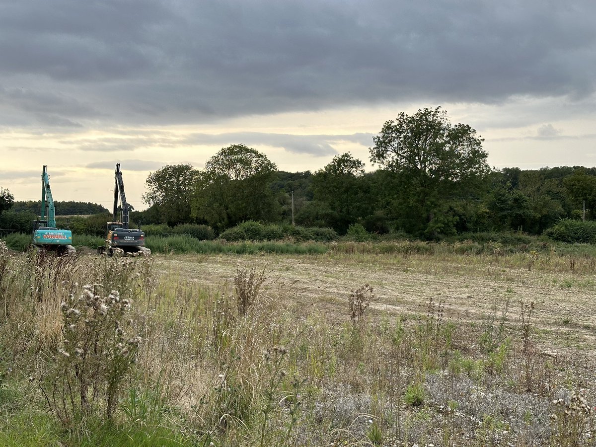 David Stubbs tweet media