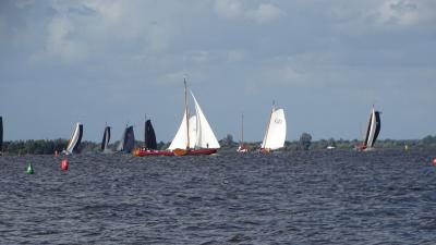 friesland tweet media