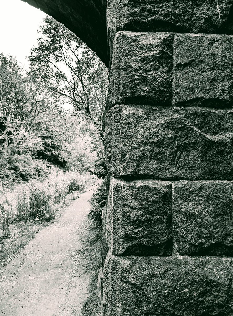 Dr Tim Campbell-Green tweet media