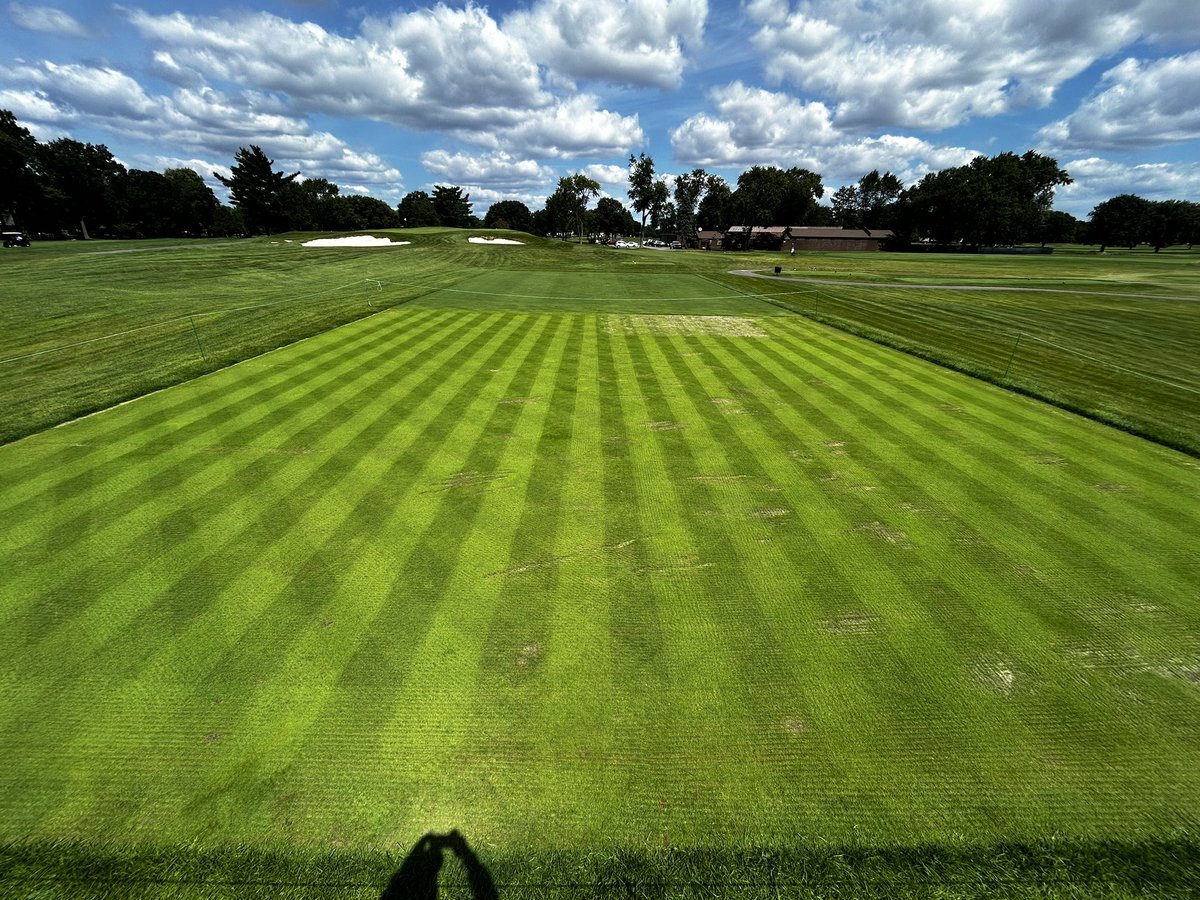 Mike Mosquera ⚡️ tweet media