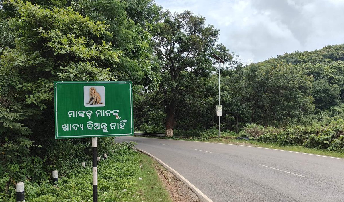 SuryaMahapatra6's tweet photo. ଏକ ଅନୁରୋଧ.. ଦୟାକରି ରାସ୍ତାରେ ମାଙ୍କଡ଼ କୁ ଖାଇବାକୁ ଦିଅନ୍ତୁ ନାହିଁ :- ପ୍ରଶାସନ 
(କୋରାପୁଟ ଘାଟି, କୋରାପୁଟ) Save animals, save forest.. @dmkoraput https://t.co/84NTkOWOJq