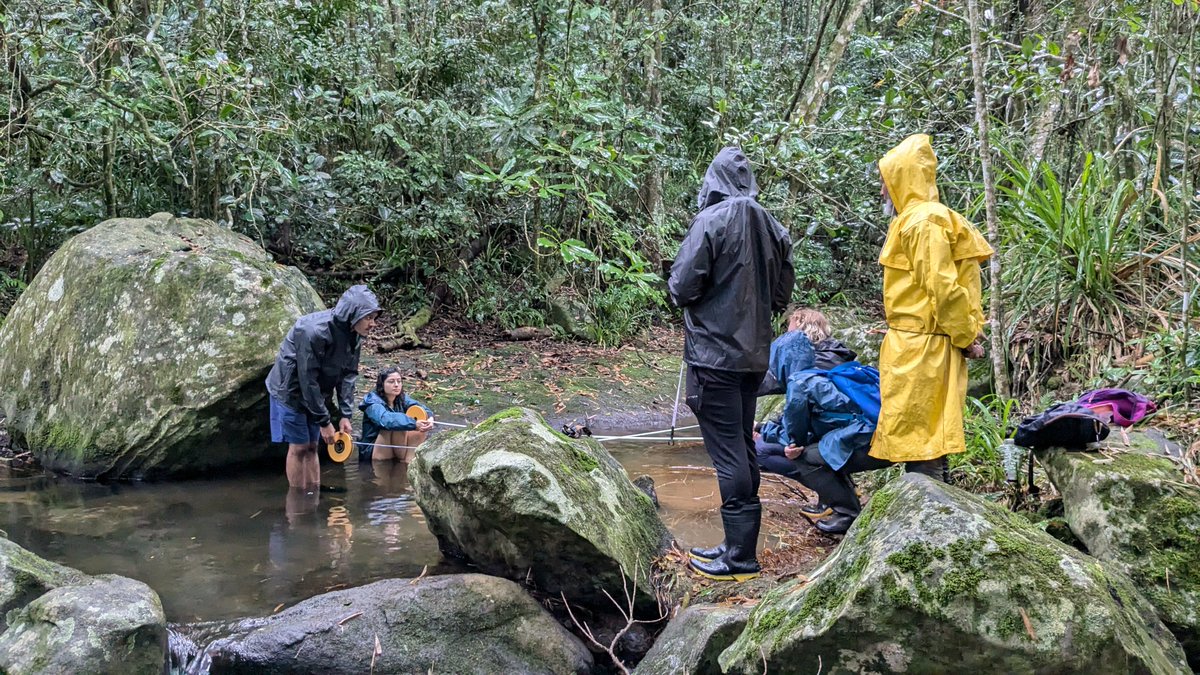 iserrapilheira's tweet photo. 🐒A Formação em Ecologia Quantitativa está com inscrições abertas! Lembramos que o programa inclui dois módulos: um teórico e um prático. Saiba mais sobre cada um👇 https://t.co/cqYh2oyfjy