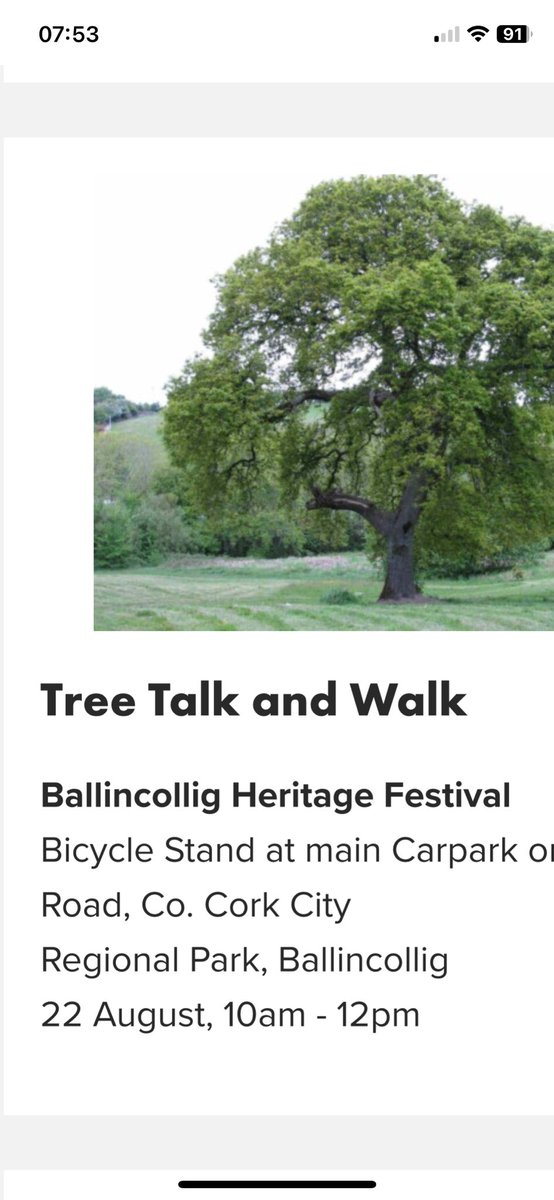 Cafe Chico tweet media