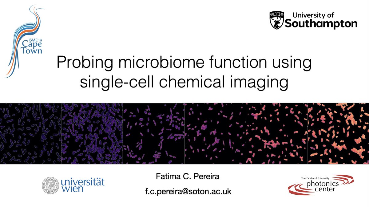 microbetracker's tweet image. Looking forward to present our latest work applying high-throughput chemical imaging to study #gutmicrobiome function and drug-microbiome interactions at #ISME19. 🦠🇿🇦 Join me tomorrow at 12:30 in Auditorium 2!
@sotonbiosci @DOME_Vienna
isme19.isme-microbes.org