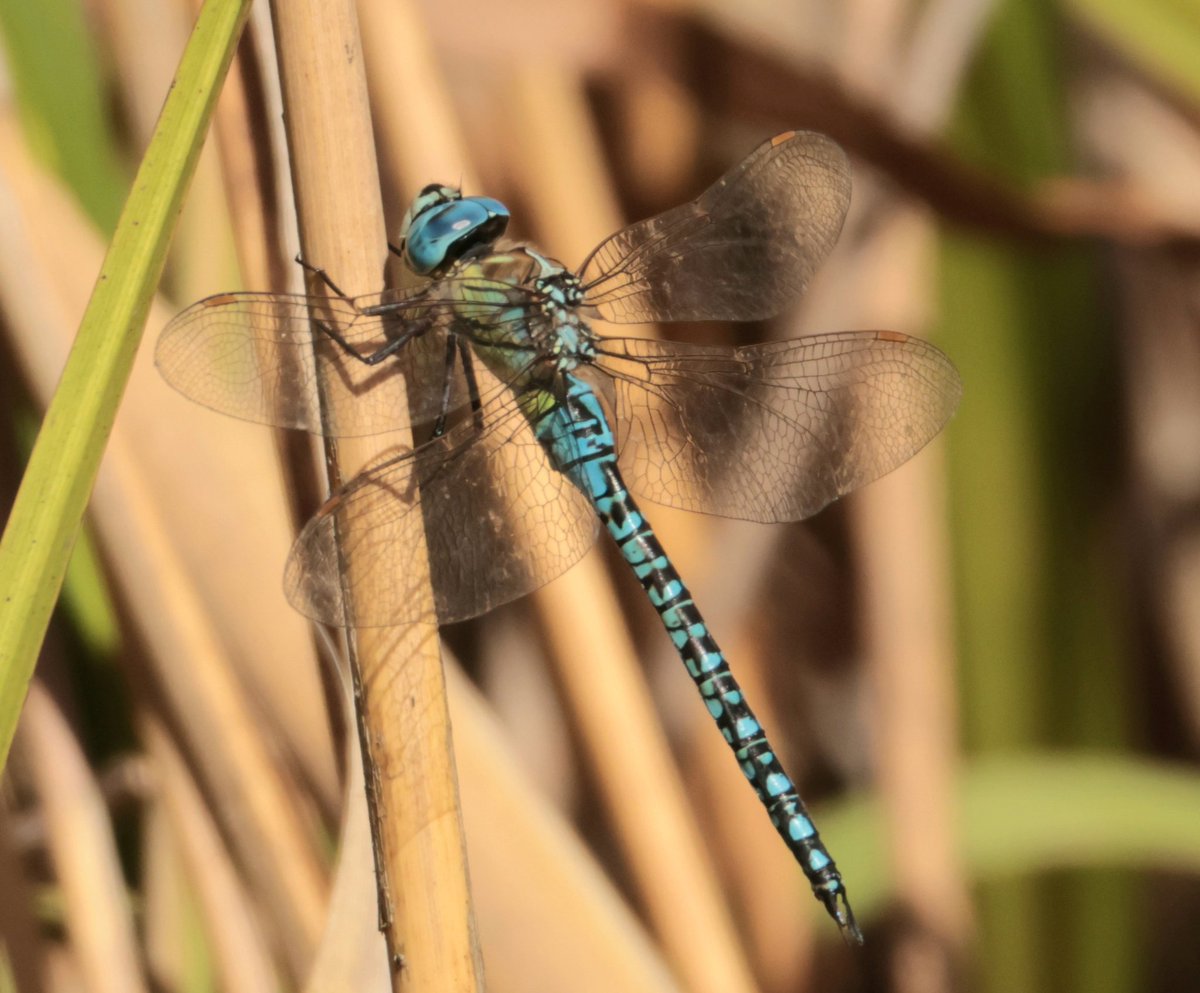 Daryl Rhymes tweet media