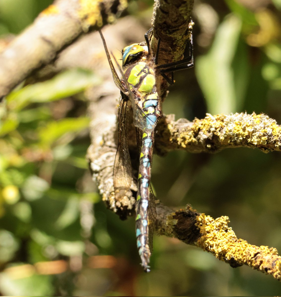 Daryl Rhymes tweet media