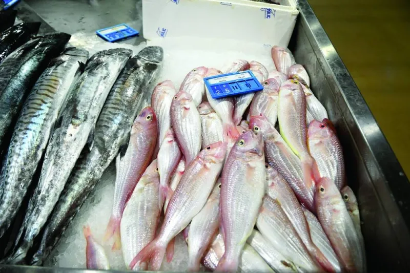 GulfTimes_QATAR's tweet photo. The fish prices at Umm Slal Fish market have seen nominal increase, especially for some popular varieties such as #Hamour and #Kingfish due to limited supply, mostly attributed to the hot weather conditions.
https://t.co/LB2mmJxlyp https://t.co/skpgBCokAu