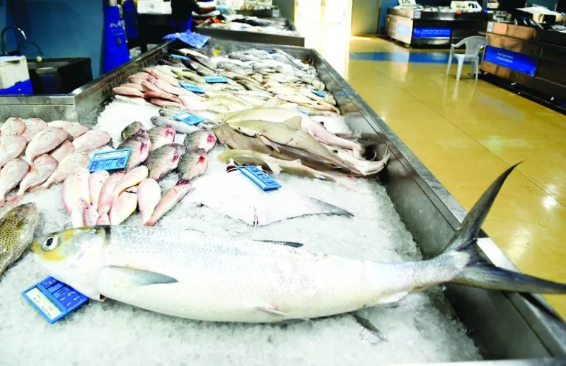 GulfTimes_QATAR's tweet photo. The fish prices at Umm Slal Fish market have seen nominal increase, especially for some popular varieties such as #Hamour and #Kingfish due to limited supply, mostly attributed to the hot weather conditions.
https://t.co/LB2mmJxlyp https://t.co/skpgBCokAu