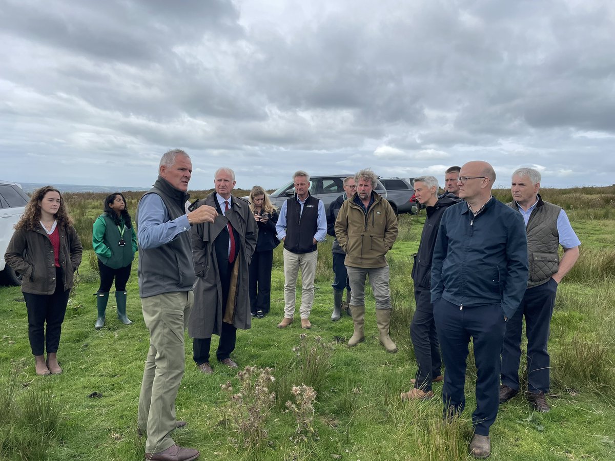 David Hall tweet media