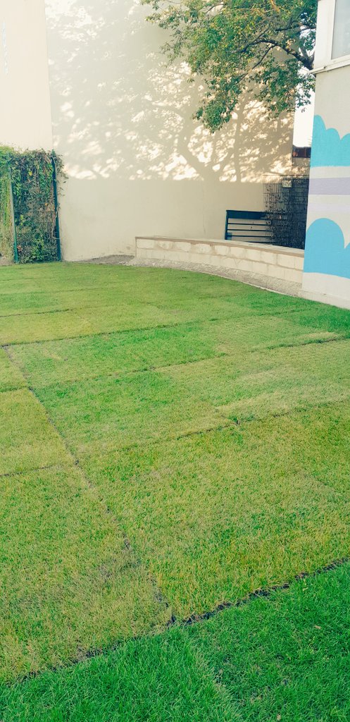 ClgWallon95's tweet photo. Chantier de la cour objectif 2: végétaliser. A la suite des cours oasis, celle du collège a été conçue comme un jardin. Le gazon et les petits sujets ont été plantés, les grands sujets qui animeront le centre arriveront à la Toussaint https://t.co/LNmhkSqIpG