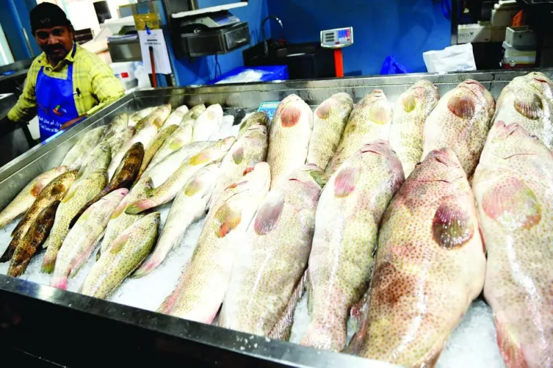 GulfTimes_QATAR's tweet photo. The fish prices at Umm Slal Fish market have seen nominal increase, especially for some popular varieties such as #Hamour and #Kingfish due to limited supply, mostly attributed to the hot weather conditions.
https://t.co/LB2mmJxlyp https://t.co/skpgBCokAu