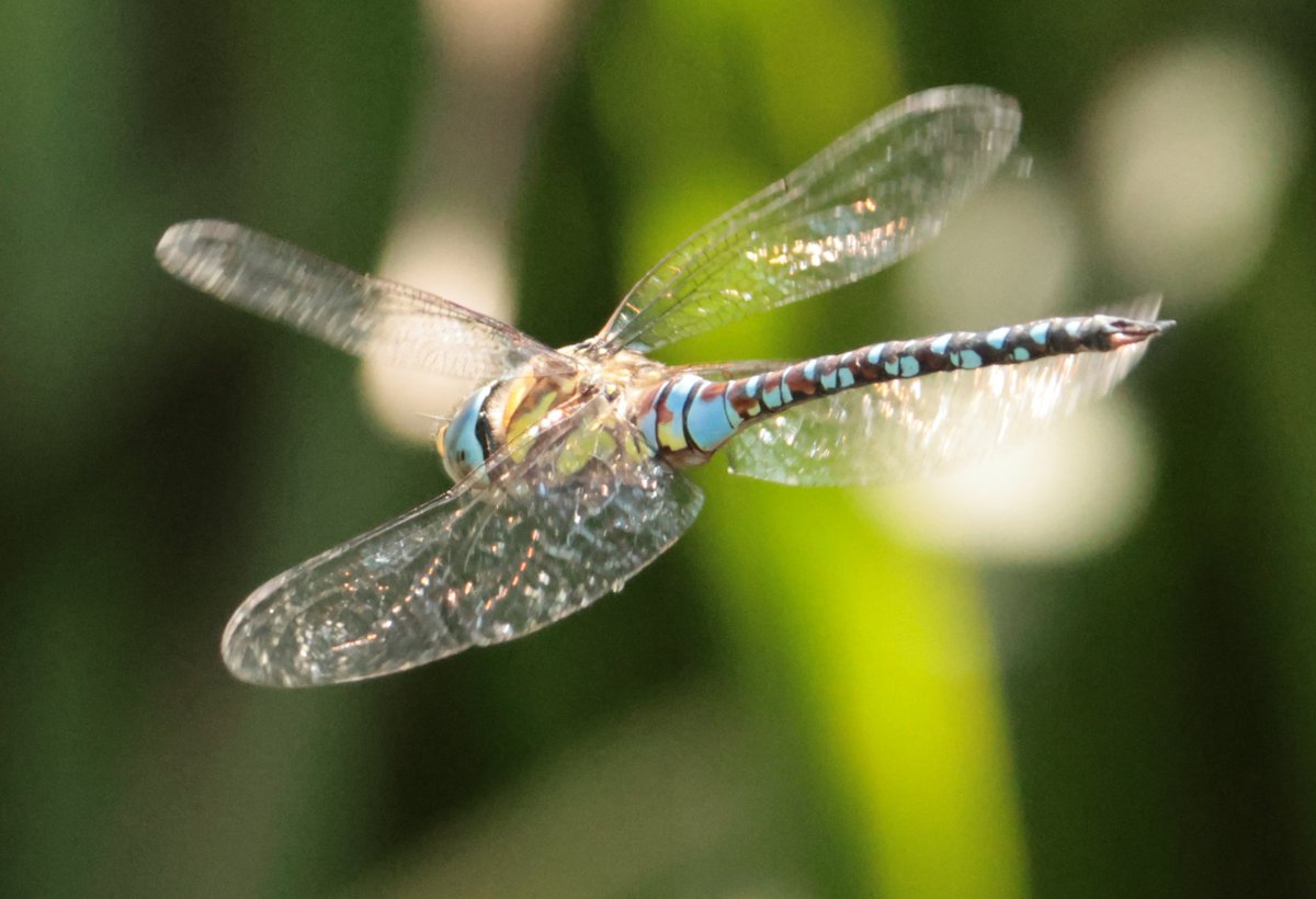 Daryl Rhymes tweet media