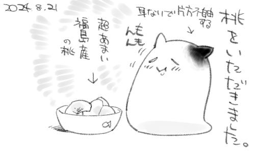 ぬるくても甘さがカバーしてしまうほどでかくておいしいです。福島の桃。 