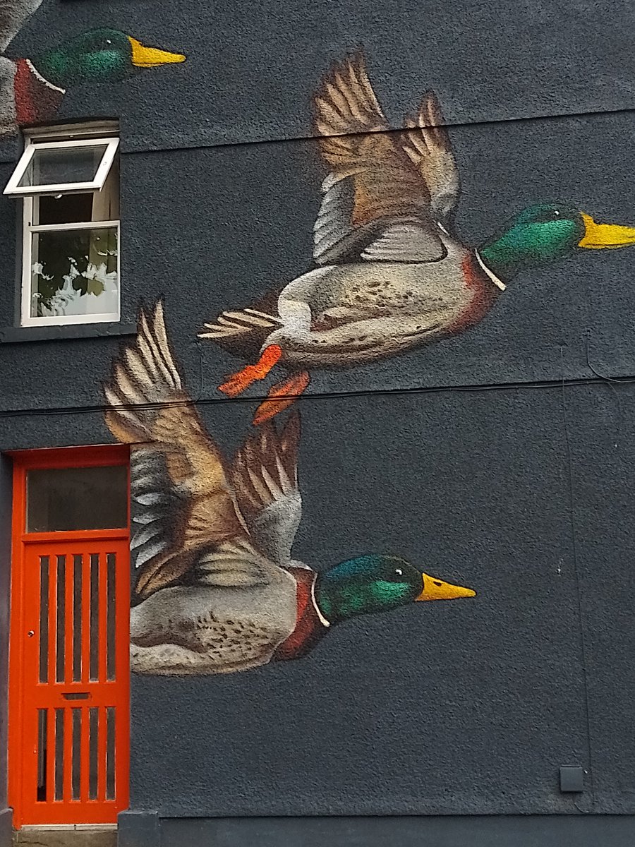 Flying ducks. Variation on a theme. End wall of a new cafe that's opened in Brynmill, Swansea.