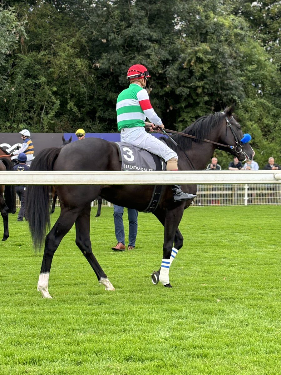 sam_angelina22's tweet image. Incredible day at York ! Thank you @careersinracing and thank you to the BHA staff who spoke to us. Good laugh in the ‘Jockey Gym’ too on the equisisor in a skirt! Amazing to watch the Juddmonte runners jump from the stalls. So great to see so many wonderful people and horses❤️