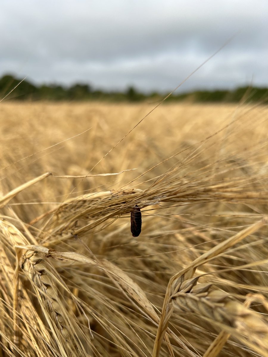 Mark Delany tweet media