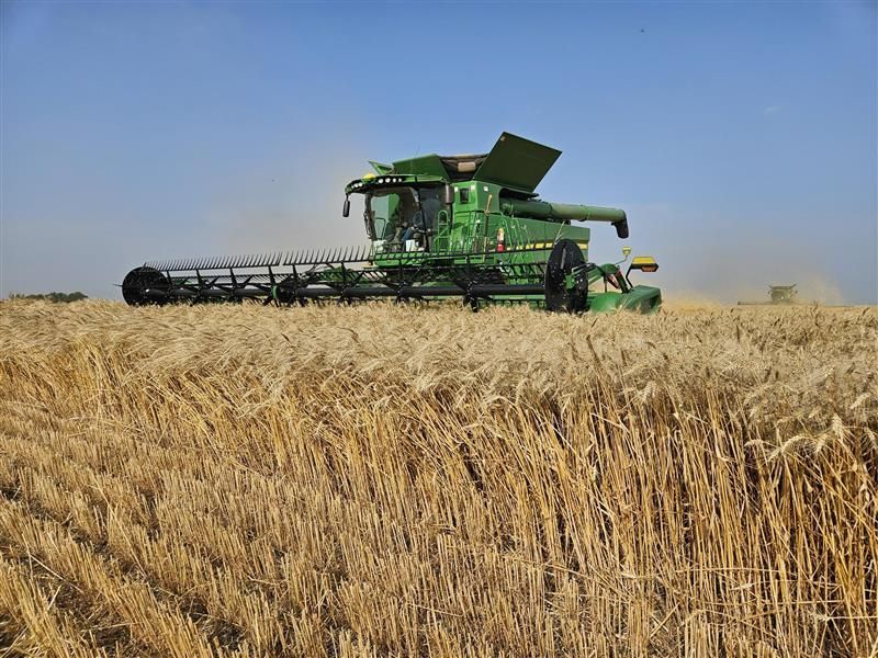 Pitura Seed Service tweet media