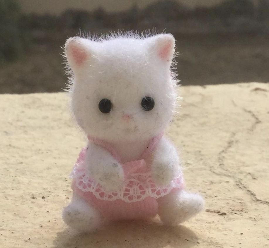 เหมี่ยวเมี่ยวเหมี่ยวเมียว เมียวเมี่ยวเหมี่ยวเมี้ยวเมียว—