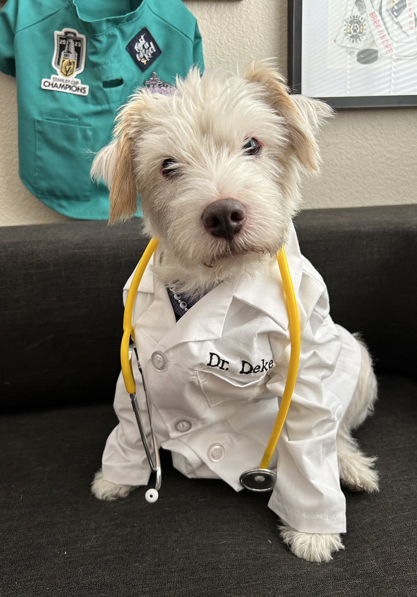My lab coat from “Dartmutt College School of Medicine” has arrived!
~ Deke🐾
#TherapyDog
#IAmATherapyDog
#PawYouNeedIsLove