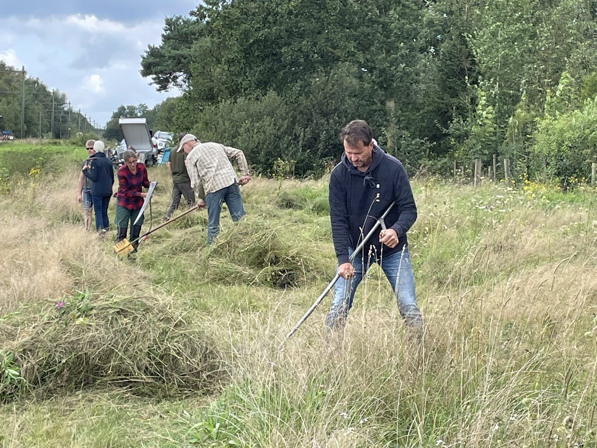 Omdat onze zaterdagen zo vol raken organiseerden we vandaag n zeisinstructie in #weert. We doen er nog een in Zuid-Limburg #simpelveld. Kijk op landschapsbeheer limburg voor deze en andere instructies.