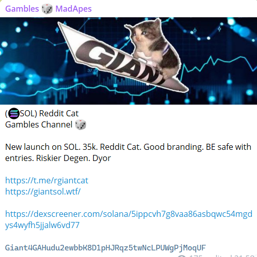 $GIANT - Reddit Cat tweet media