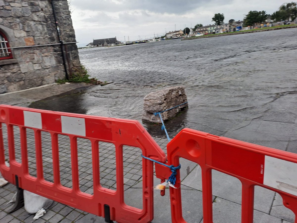 Teresa Mannion tweet media