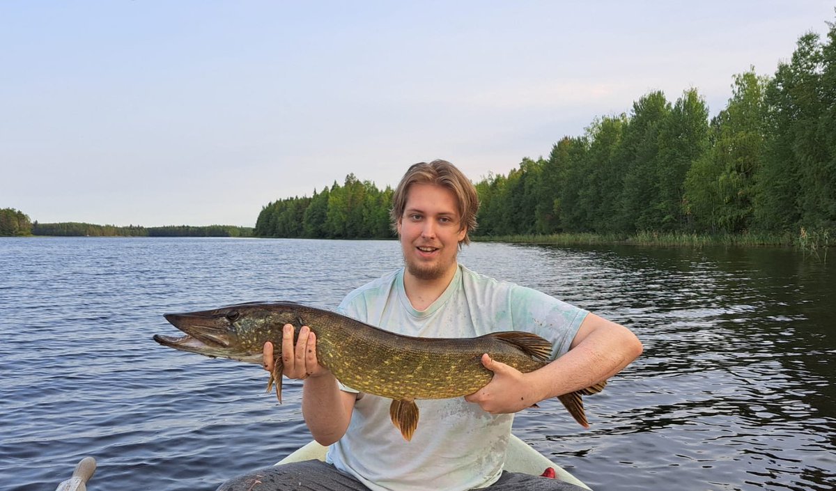 Nexus ツ tweet media