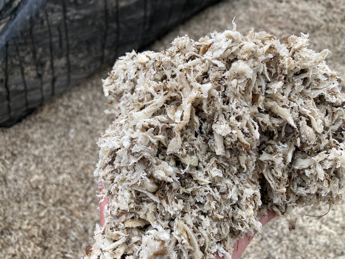 Pressed beet pulp season for 2024/2025 will begin soon! Looking to extend the density of rations, improve forage quality or just need a buffer feed call your  Furst McNess representative today or the office at 1-800-363-9988 #ontag
